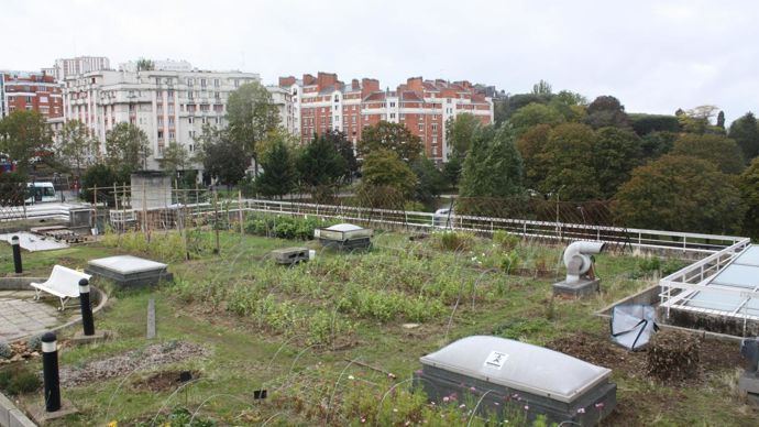En octobre, la saison se terme pour la ferme florale urbaine. © Léna Hespel